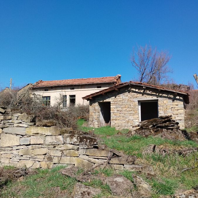 Photo 353373064