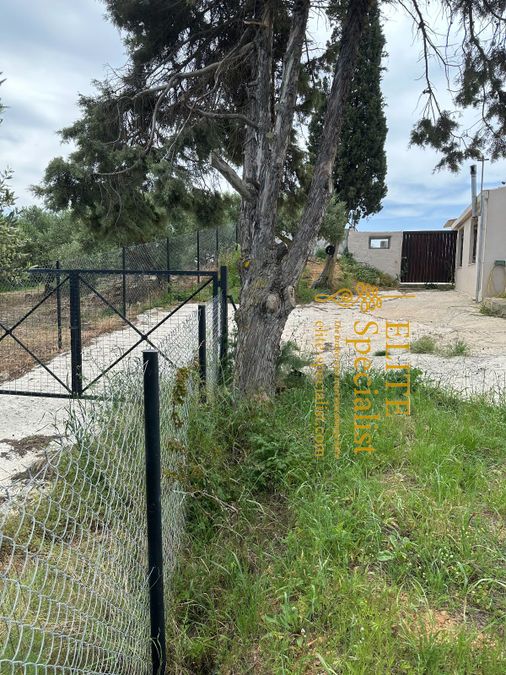 Photo 353520709