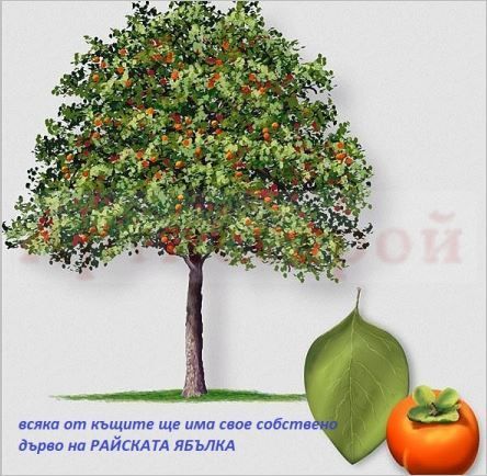 Снимка 353974762