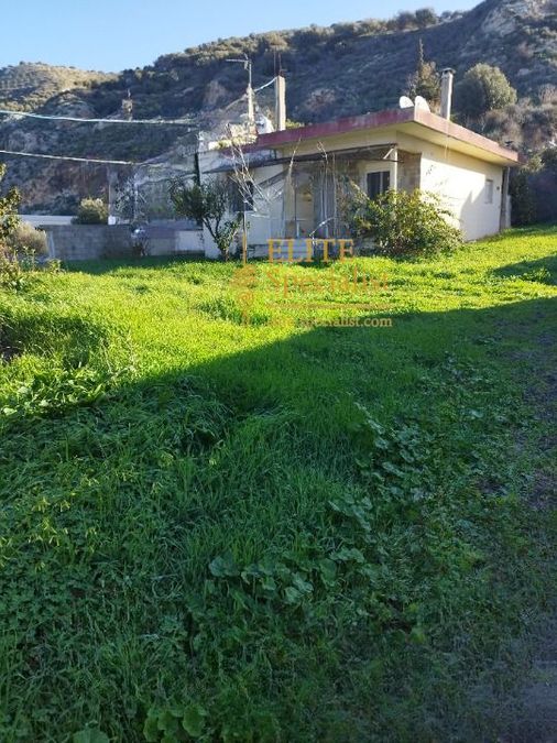 Photo 353978698