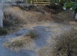Photo 354135610