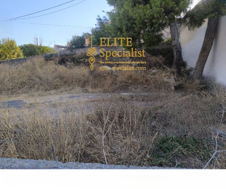 Photo 354135613