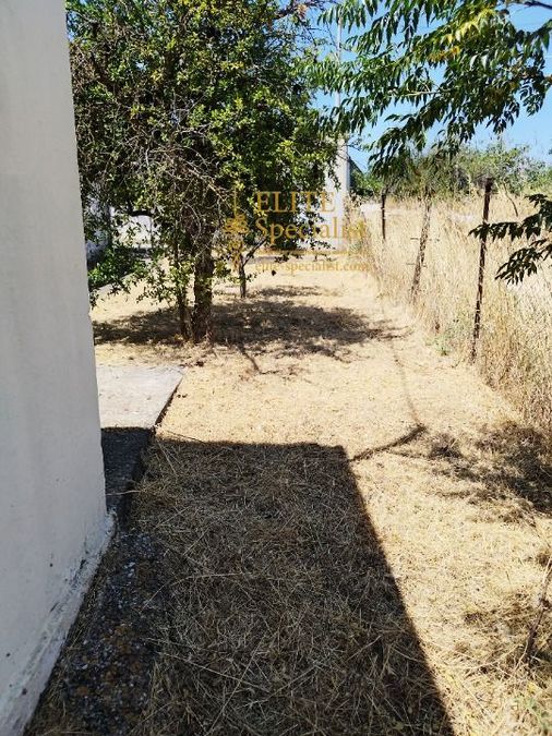 Photo 354226927