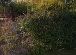 Photo 354269692