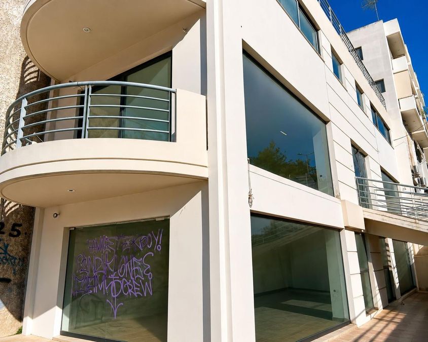 Επαγγελματικό κτίριο 360 τ.μ., φωτογραφία 3