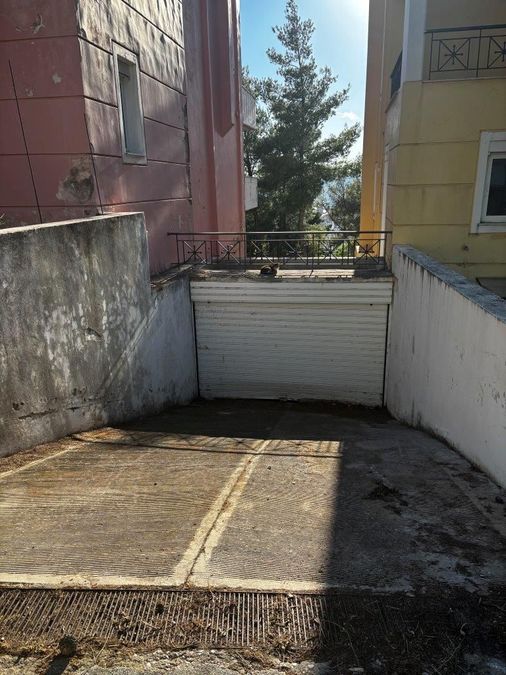 Photo 354664255