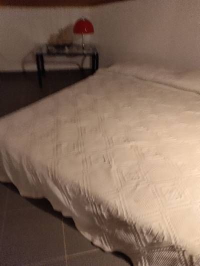 Photo 355567240