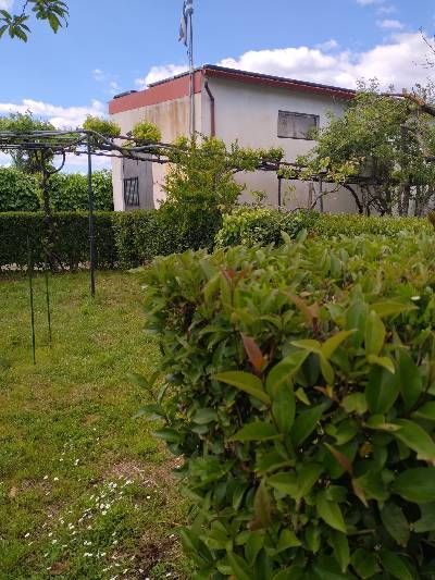 Photo 355567249