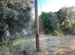 Photo 355601413