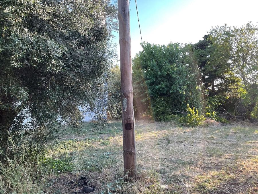 Photo 355601413