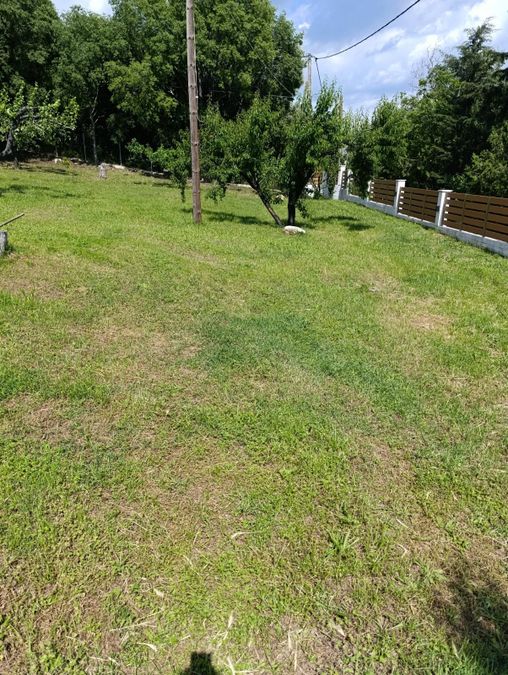 Photo 355628290