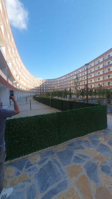 Foto 355690432