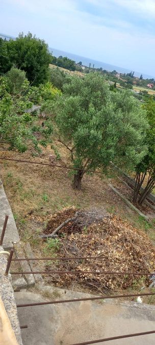 Photo 356287774