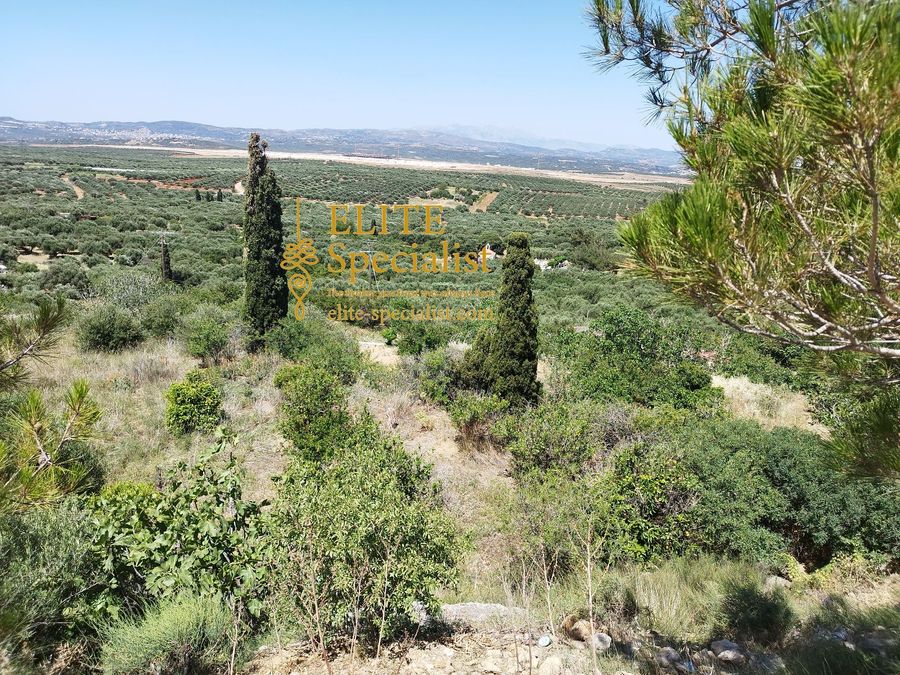 Photo 356770468