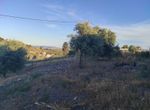 Photo 356868319