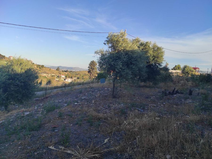 Photo 356868319
