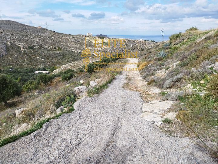 Photo 357196255