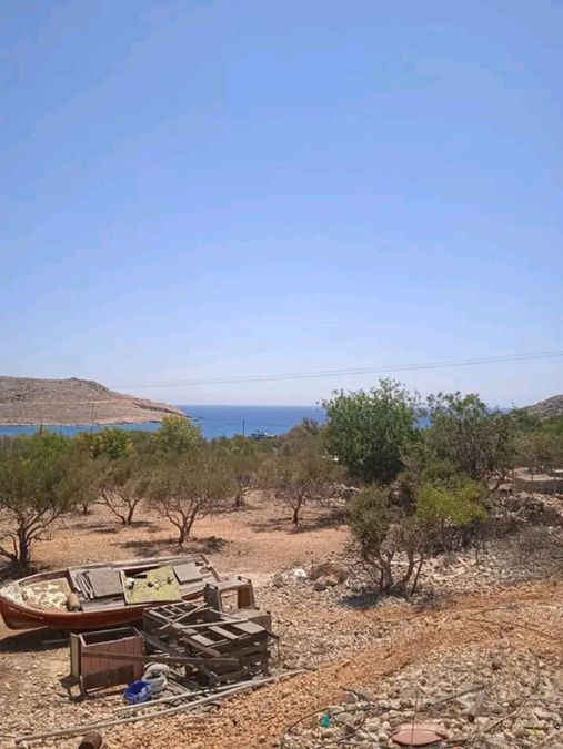 Photo 357202465