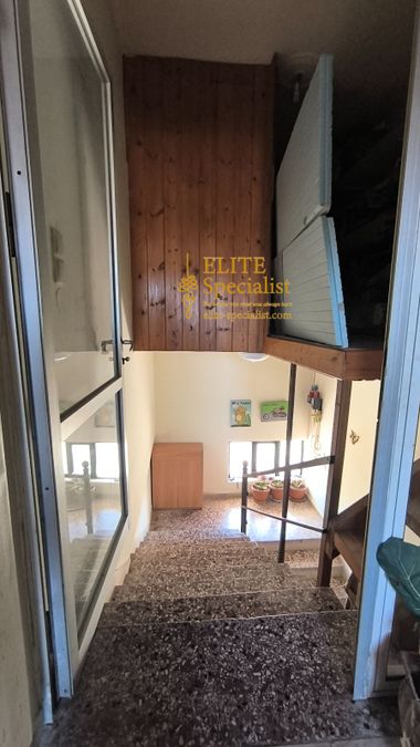 Photo 357313174