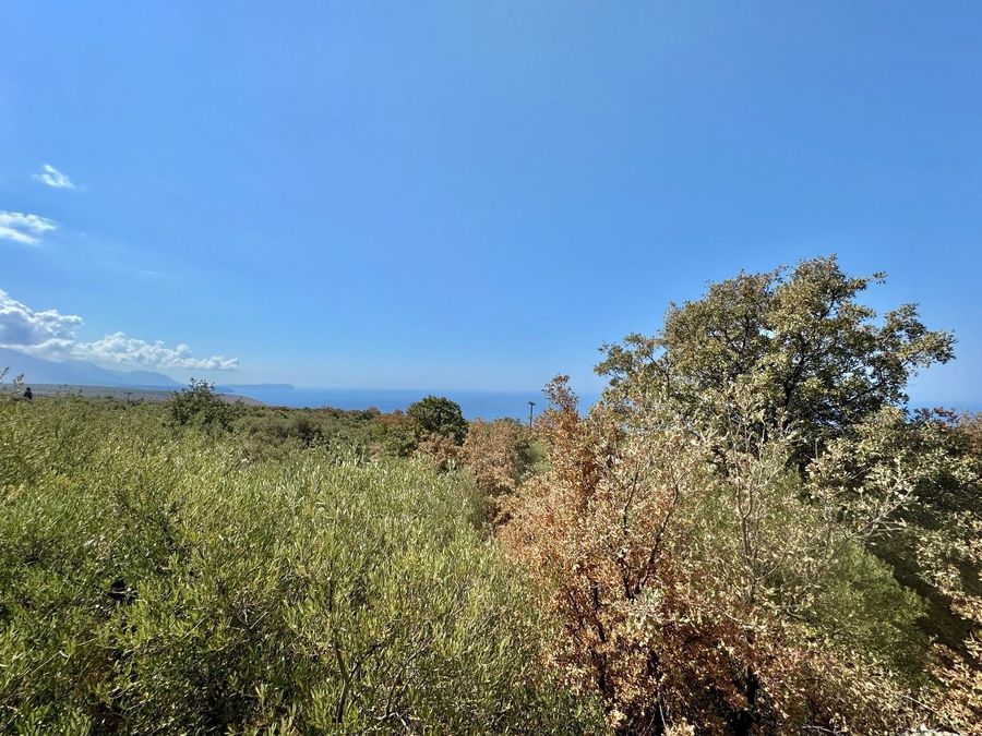 Photo 357314209