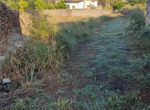 Photo 358304482