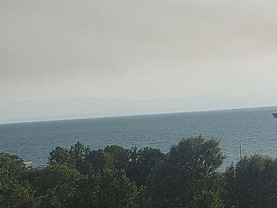 Photo 358477183