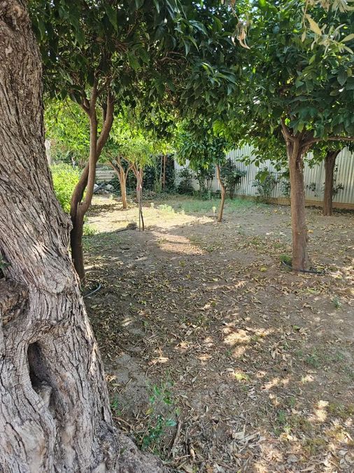 Photo 358509088