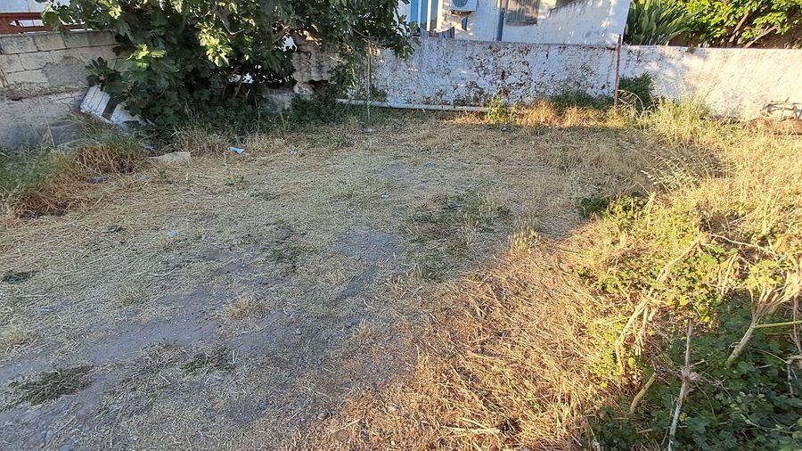 Photo 359406202