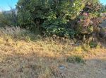 Photo 359406232
