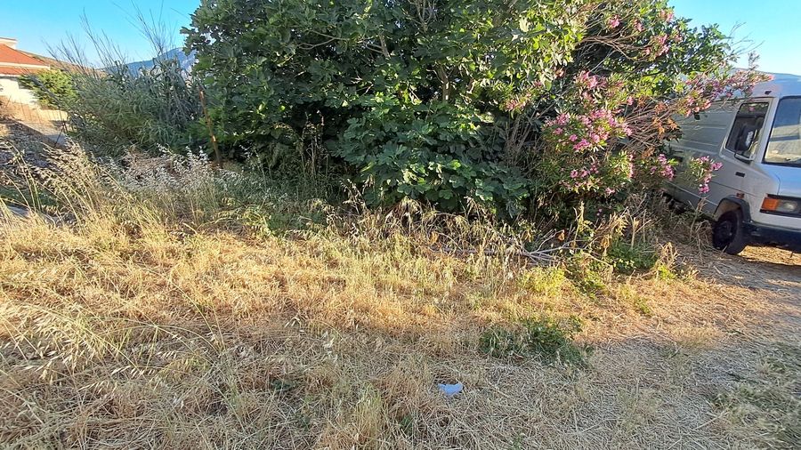 Photo 359406232