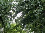 Photo 359959903