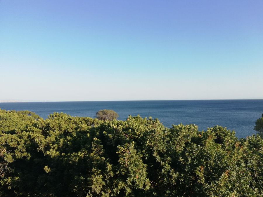 Photo 359971630