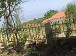 Photo 359972446