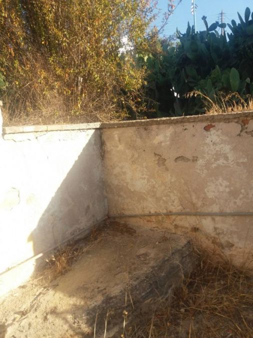 Photo 359972581