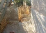 Photo 359972584