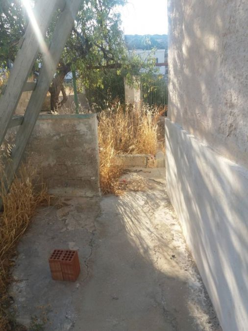 Photo 359972584