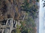 Photo 359973916
