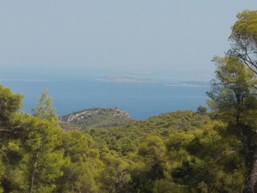 Photo 359973997