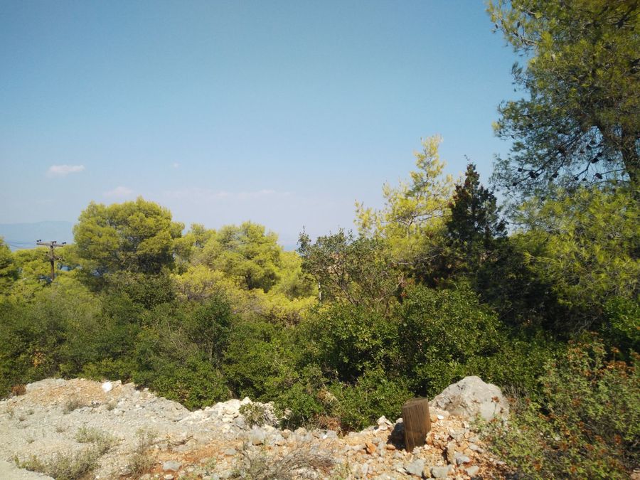 Photo 359974009