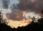 Photo 359974018