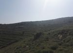 Photo 359974027