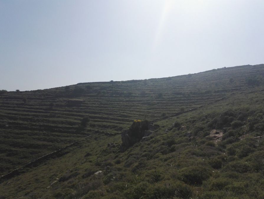 Photo 359974027
