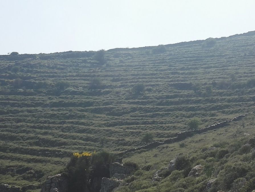 Photo 359974030