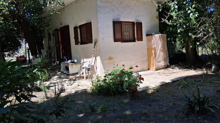 Photo 359974099