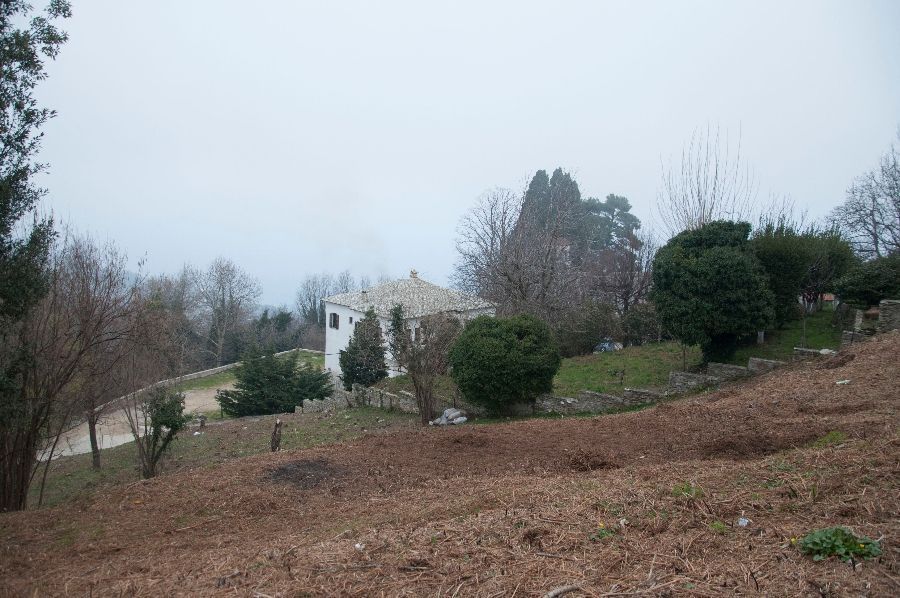 Photo 359974204