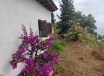 Photo 359974903