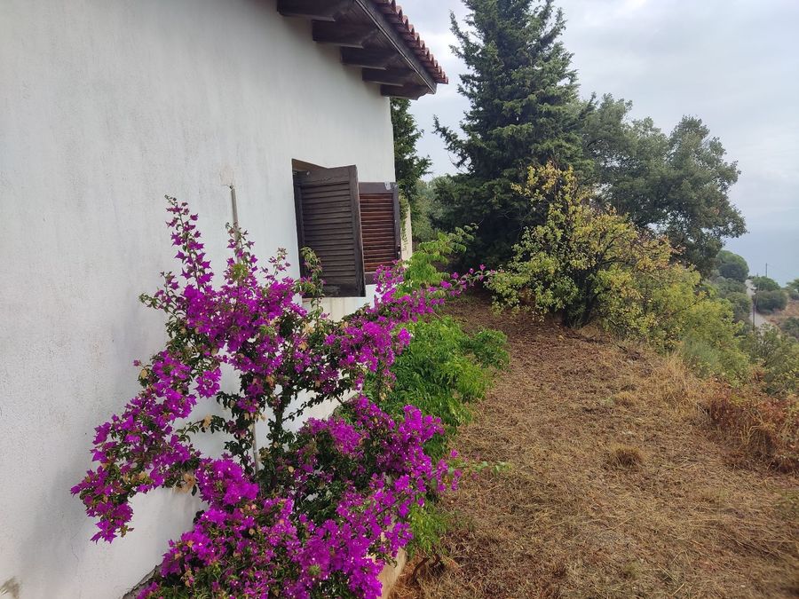 Photo 359974903