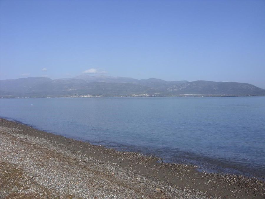 Photo 359975893
