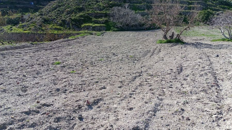 Photo 359976034