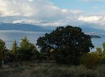 Photo 359976097